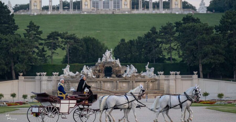 Vienna: Carriage Ride Through Schönbrunn Palace Gardens - Should you book this Schönbrunn horse carriage ride?
