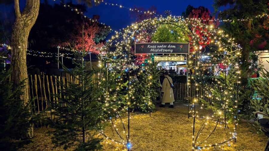 Vienna: Christmas Market Food and Drinks Tour - Near the old university campus, where the streets feel lived-in