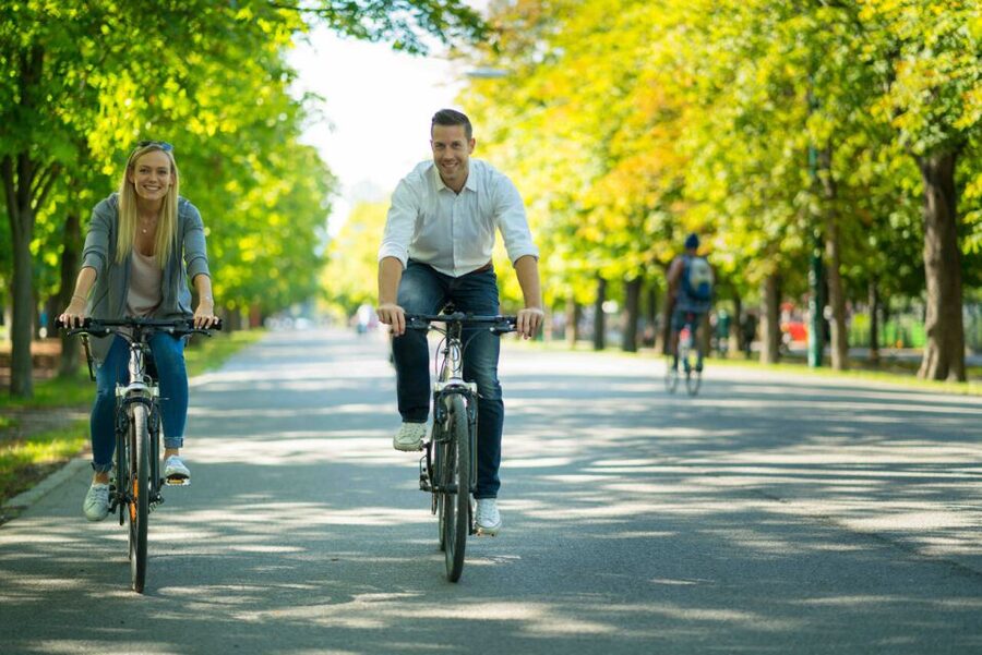Vienna: City Highlights Guided Bike Tour - Pace, bike lanes, and the stuff to plan for