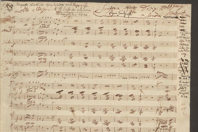 Vienna: City of Music Private Walking Tour - How Annelie makes composers feel human