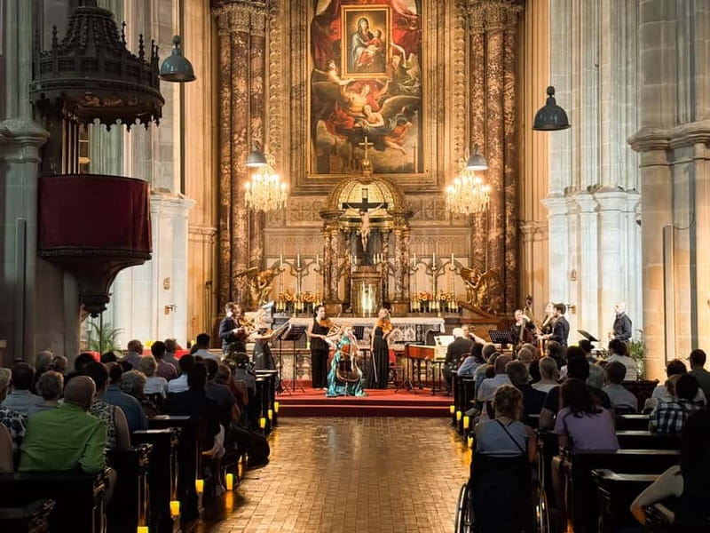 Vienna: Classical Concerts in the Minorite Church Ticket - Who should book this and who should skip it