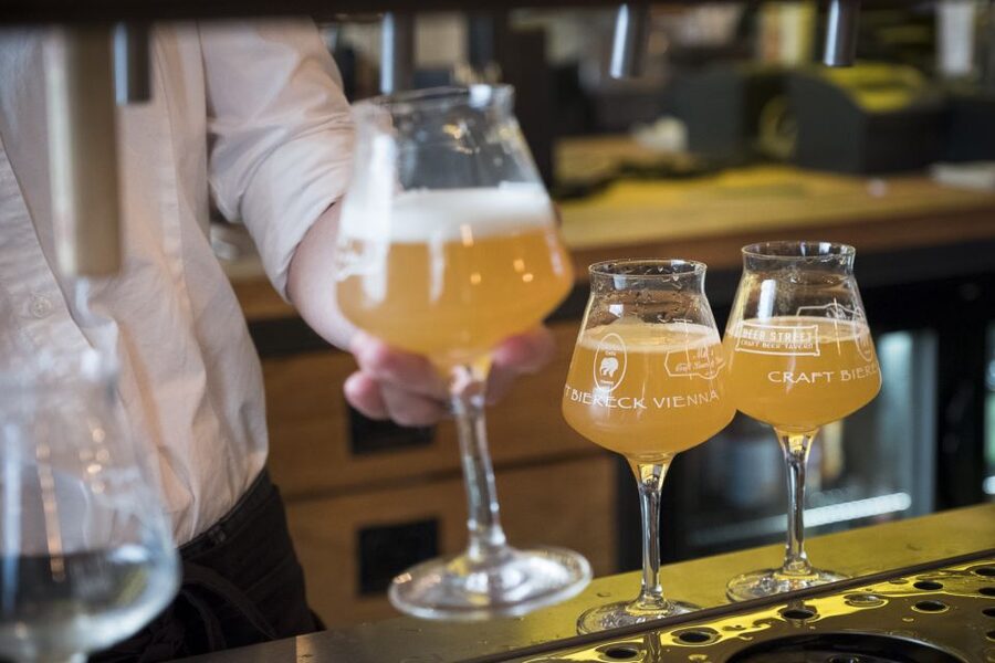 Vienna: Craft Beer Tasting Experience with Local Snacks - Austrian beer culture, explained in a way you can taste