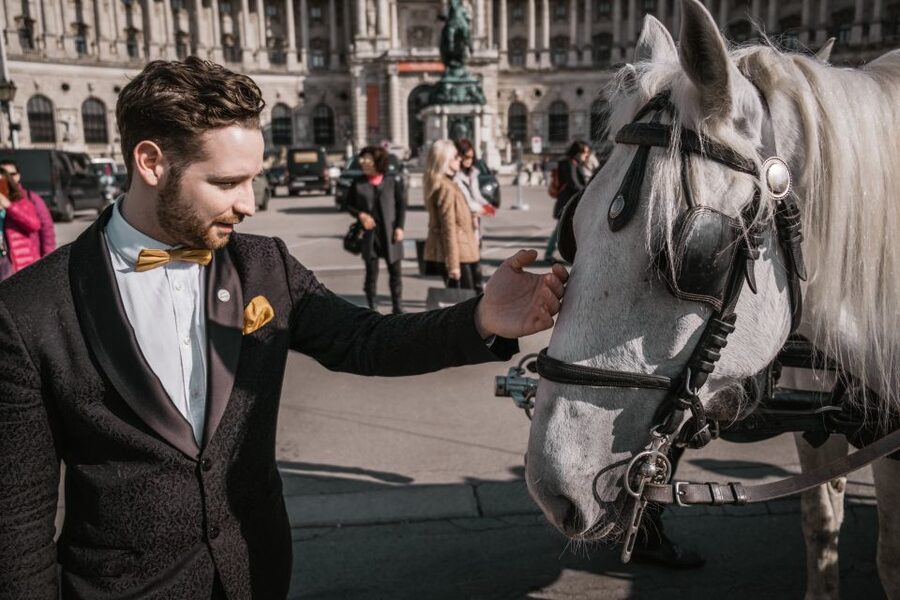 Vienna: Culinary Horse-Drawn Carriage Experience - Key highlights that matter in real life