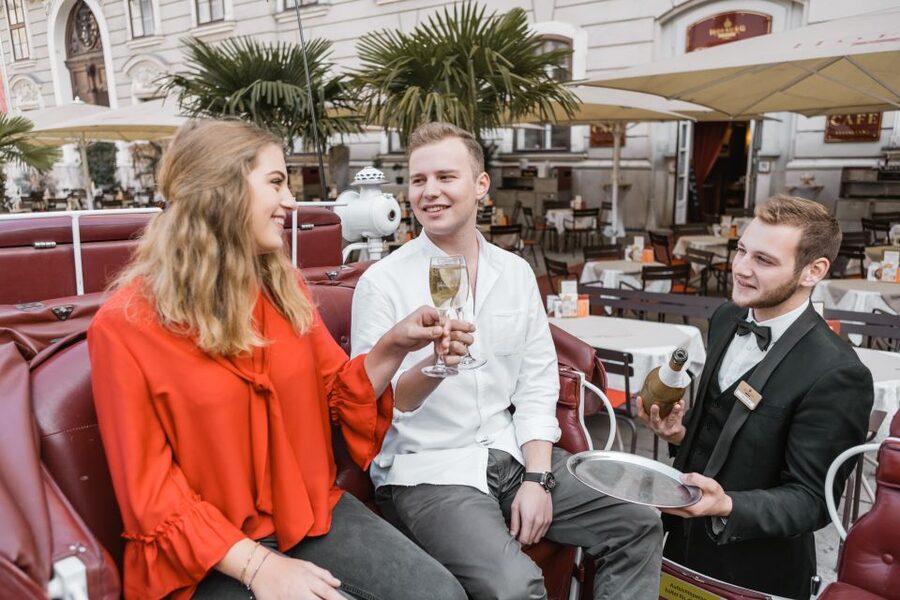Vienna: Culinary Horse-Drawn Carriage Experience - Coachman and butler stories: how the commentary actually lands