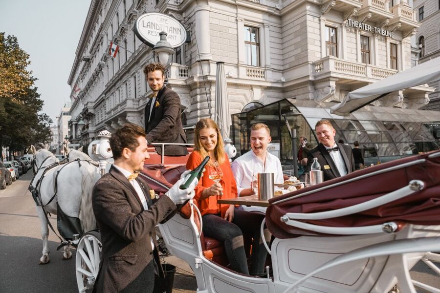 Vienna: Culinary Horse-Drawn Carriage Experience - Time, duration, and your money: what $229 buys