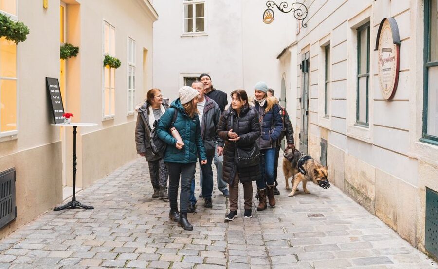 Vienna: Educational Walk Exploring Homelessness - The guide experience: facts, stories, and asking real questions