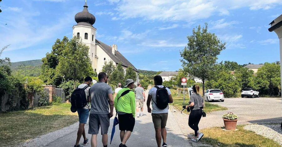 Vienna: Full-Day Vienna Woods Wine Tasting Tour - Key Things to Know Before You Go