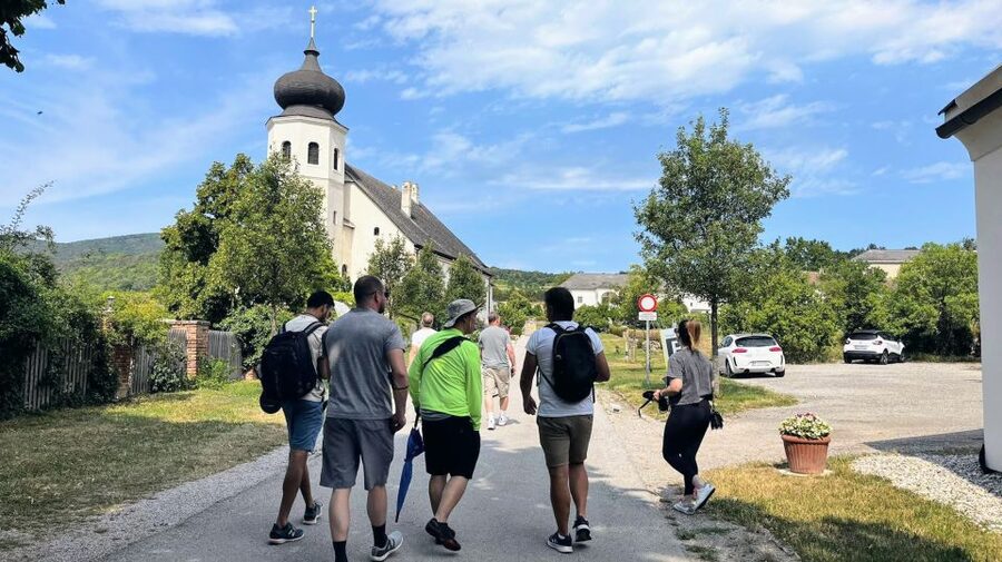 Vienna: Full-Day Vienna Woods Wine Tasting Tour - Why the Vienna Woods Winemaking Works as a Vienna Escape