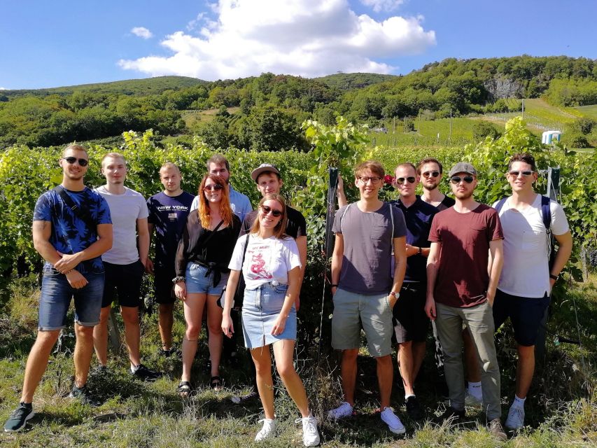 Vienna: Full-Day Vienna Woods Wine Tasting Tour - The Winery Visit: Extensive Tastings and Expert Q&A That Don’t Feel Like a Lecture
