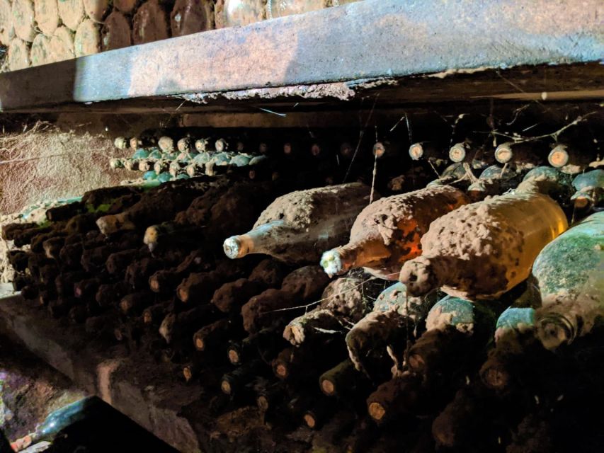 Vienna: Full-Day Vienna Woods Wine Tasting Tour - Price and Value: Is $187 Worth It?