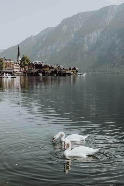 Vienna: Hallstatt Guided Tour with Hotel Pickup & Drop-off - Food and budgeting: what you’ll likely want to pay for