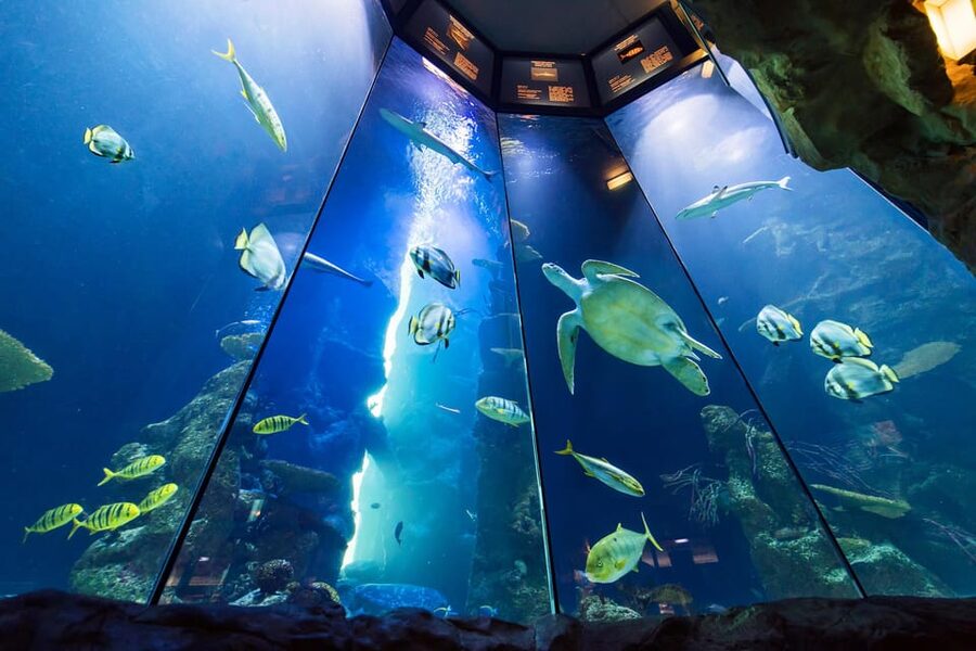 Vienna: Haus des Meeres Entry Ticket - Price and time: is about $27 worth your day?