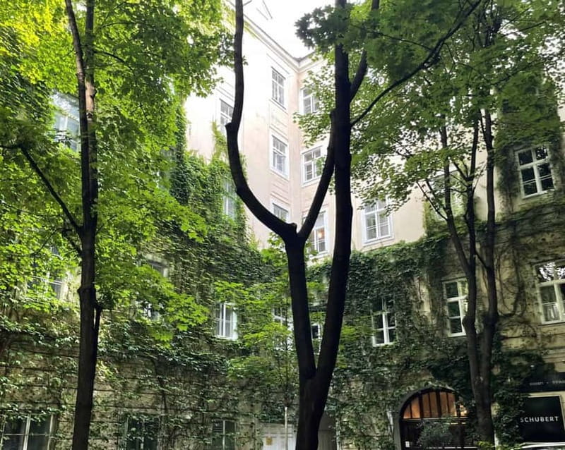 Vienna: Hidden courtyards Guided walking tour - Quiet Oases Off the Main Streets, and Why You’ll Thank Yourself