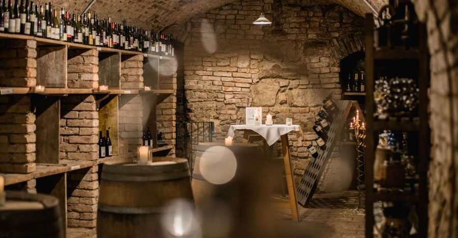 Vienna: Hidden Wine Cellars Tasting Experience - Key highlights you can count on
