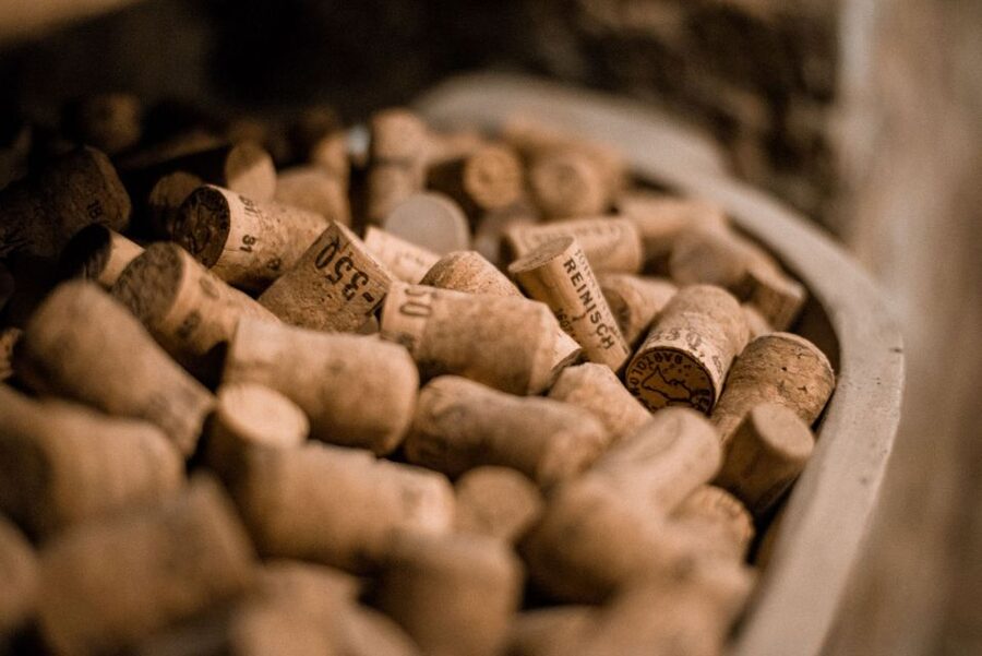 Vienna: Hidden Wine Cellars Tasting Experience - The Walking Route Above Ground: How the Tour Keeps Moving