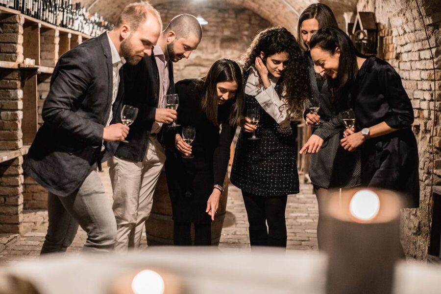 Vienna: Hidden Wine Cellars Tasting Experience - Guide Quality: What Makes Some Departures Feel Special