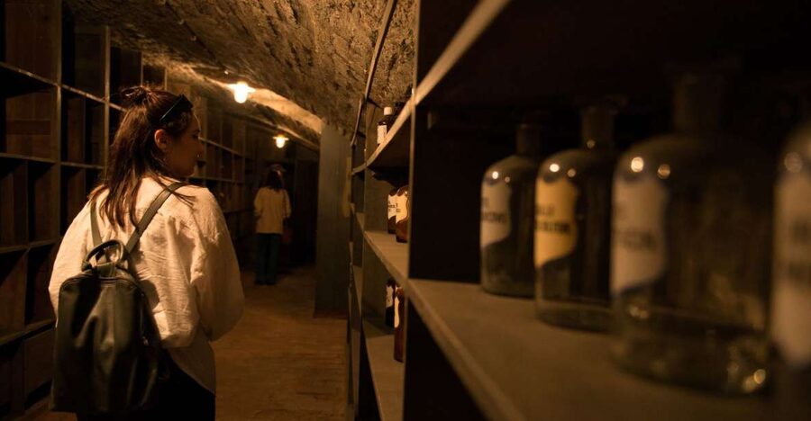 Vienna: Historical Pharmacy Cellar Guided Tour - Key things to love about the Vienna pharmacy cellar tour