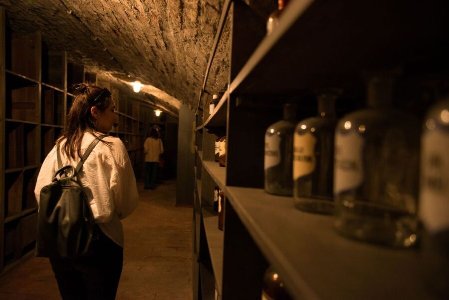 Vienna: Historical Pharmacy Cellar Guided Tour - Where to meet at Schutzengel Apotheke, and why the small group feels better