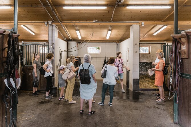 Vienna Horse-drawn Carriage Guided Tour - Fiakers and carriages, starting where the work happens