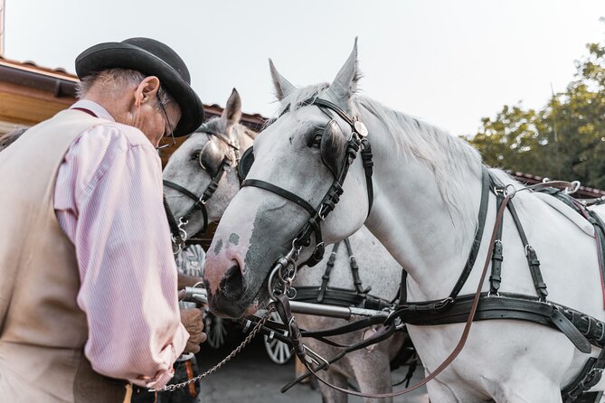 Vienna Horse-drawn Carriage Guided Tour - Value and price: where the $39.16 really comes from