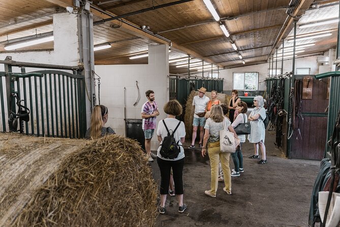 Vienna Horse-drawn Carriage Guided Tour - Who should book this tour