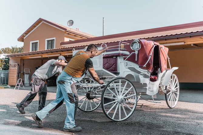 Vienna Horse-drawn Carriage Guided Tour - Should you book this Vienna horse-drawn Fiaker tour?
