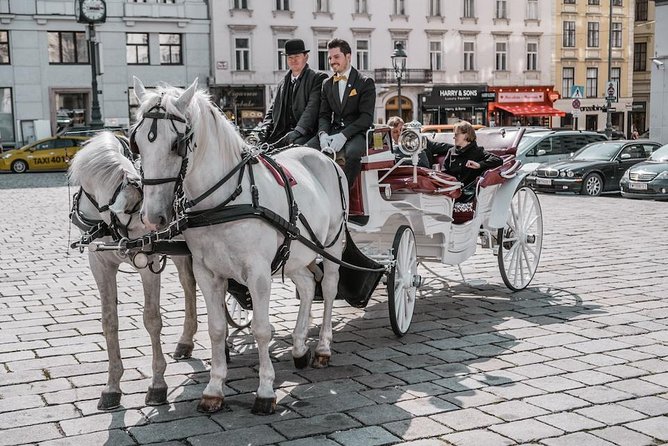 Vienna Horse-Drawn Carriage Ride with Sparkling Wine and Food - Key Points You Should Know Before You Go