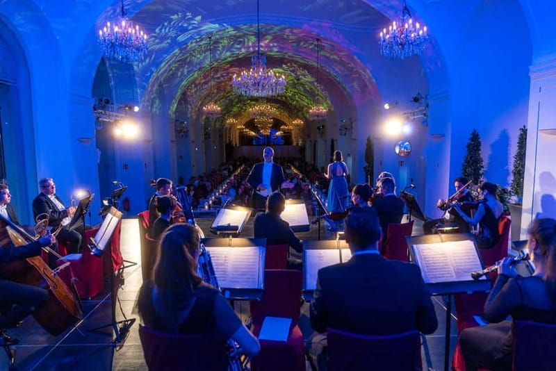 Vienna: Mozart and Strauss Concert at Schönbrunn - Getting There: Meeting Point, Metro U4, and the Easy Walk From the Palace Side