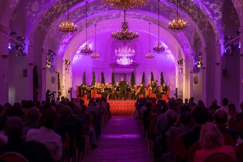Vienna: Mozart and Strauss Concert at Schönbrunn - Price and Value: Is $42 a Smart Buy for a Vienna Night?