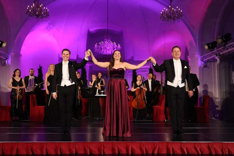 Vienna: Mozart and Strauss Concert at Schönbrunn - Who Should Book This Concert, and Who Should Skip It