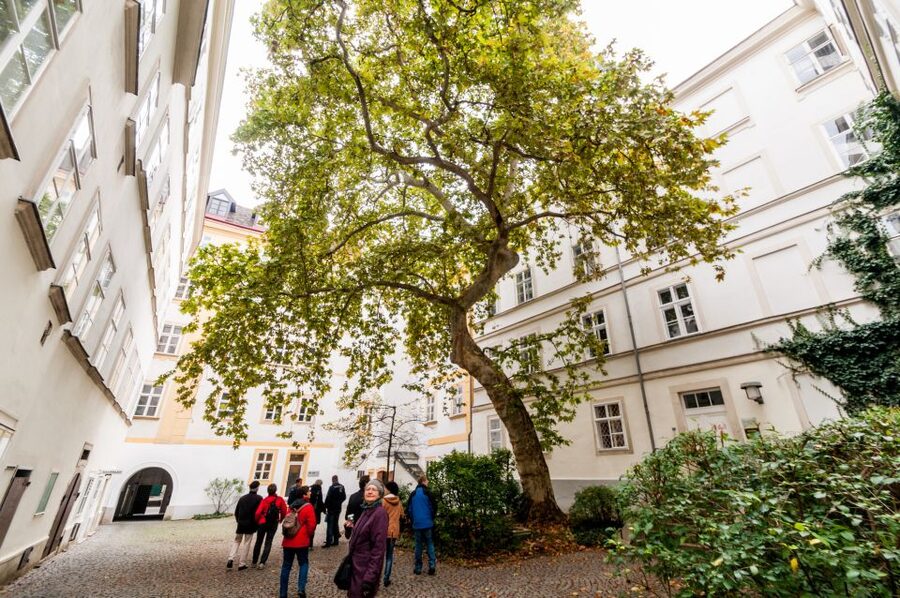 Vienna: Romantic Old Town 2-Hour Discovery Tour - Architecture in Vienna’s Old Town: from Gothic to Art Nouveau, and what to look for