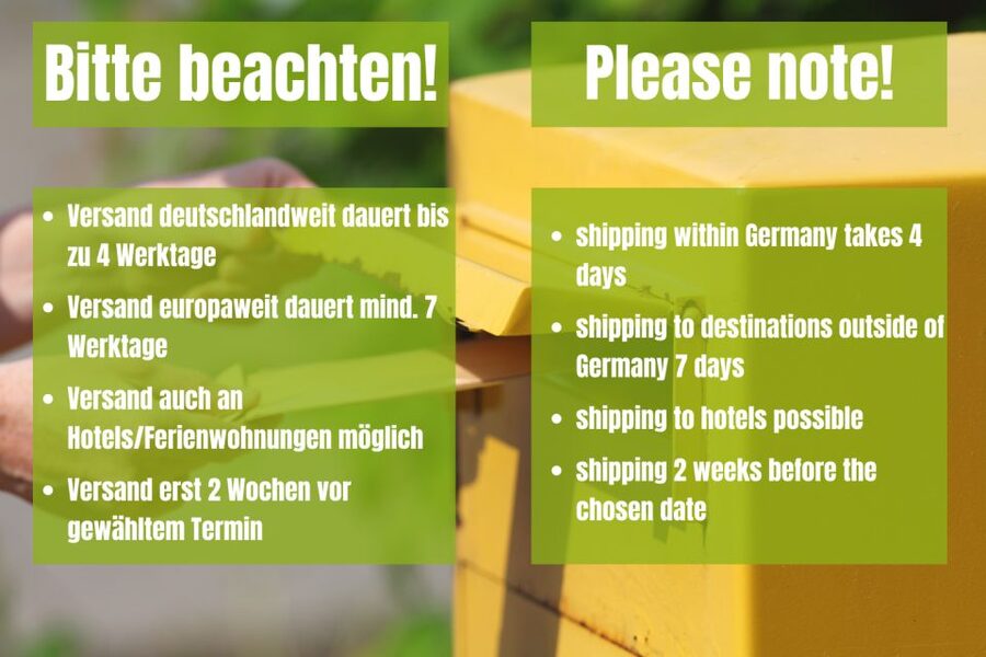 Vienna: Scavenger Hunt Self-Guided Tour - Key things that make this Vienna scavenger hunt work