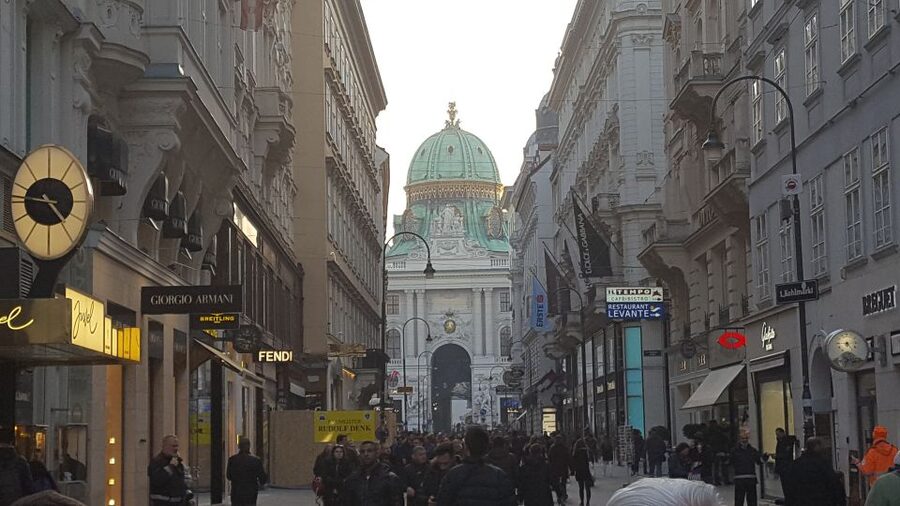 Vienna: Schönbrunn Palace and City Center Guided Tour - Historic Center of Vienna walk: landmarks that explain the city layout