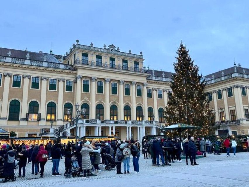 Vienna: Schönbrunn Palace & Christmas Market Walking Tour - Price and value: $64 plus the cash-only palace entry