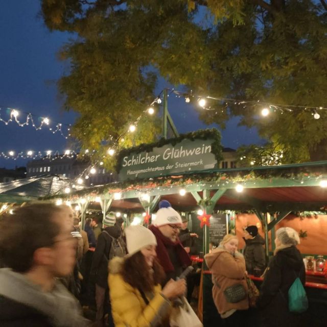 Vienna: Schönbrunn Palace & Christmas Market Walking Tour - Who this tour suits best