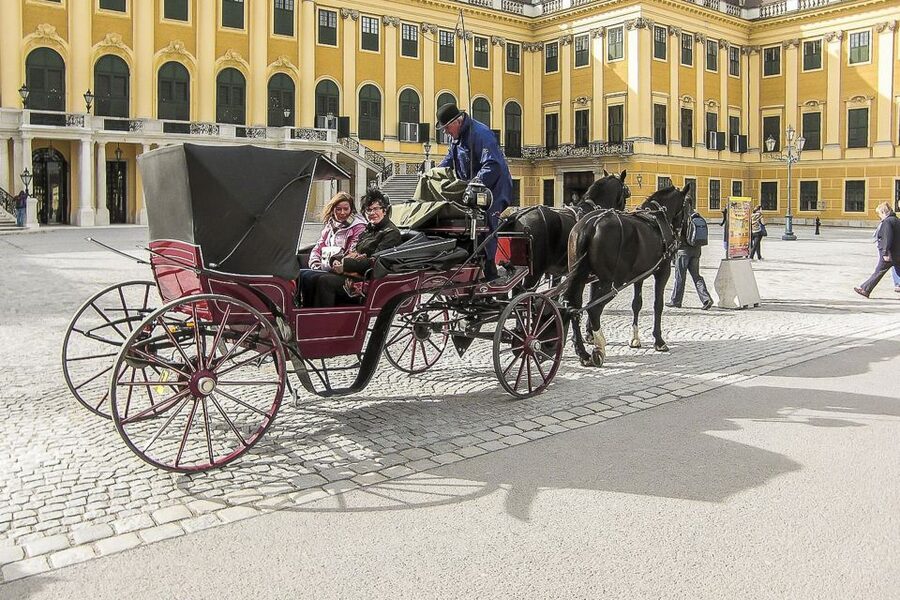 Vienna: Schönbrunn Palace & Gardens Skip-the-Line Tour - Gardens on your own: what you gain from the extra freedom