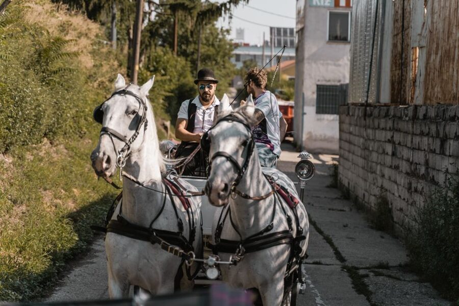 Vienna: Secrets of the Fiaker & Horse-Drawn Carriage Ride - Optional Falco breakfast: a nice add-on if you want to extend the morning
