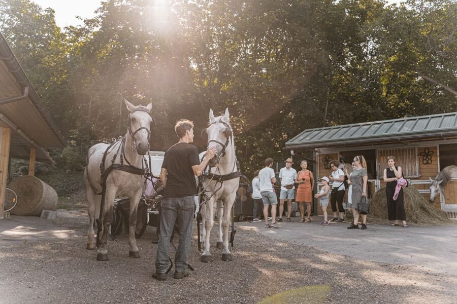 Vienna: Secrets of the Fiaker & Horse-Drawn Carriage Ride - Getting there and what to wear: small details that save your day