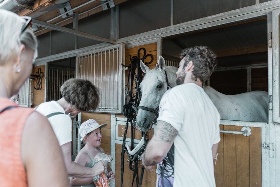 Vienna: Secrets of the Fiaker & Horse-Drawn Carriage Ride - Who this Fiaker experience suits best