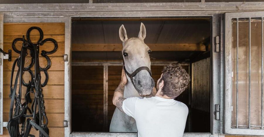 Vienna: Secrets of the Fiaker & Horse-Drawn Carriage Ride - Inside the Fiaker Horse Center: what the stable visit really shows you