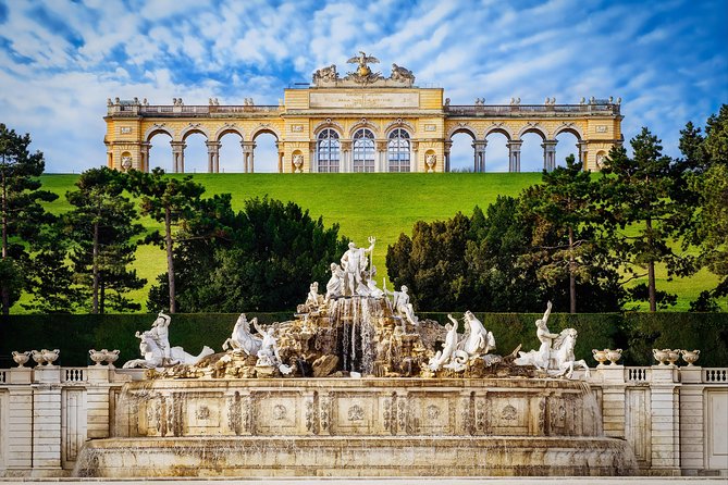 Vienna: Skip the Line Schönbrunn Palace and Gardens Guided Tour - Morning vs afternoon: picking the right slot for your patience