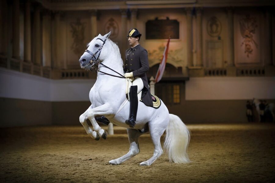 Vienna: Spanish Riding School 45-Minute Performance Show - Inside the Baroque Winter Riding School: Why the Room Matters