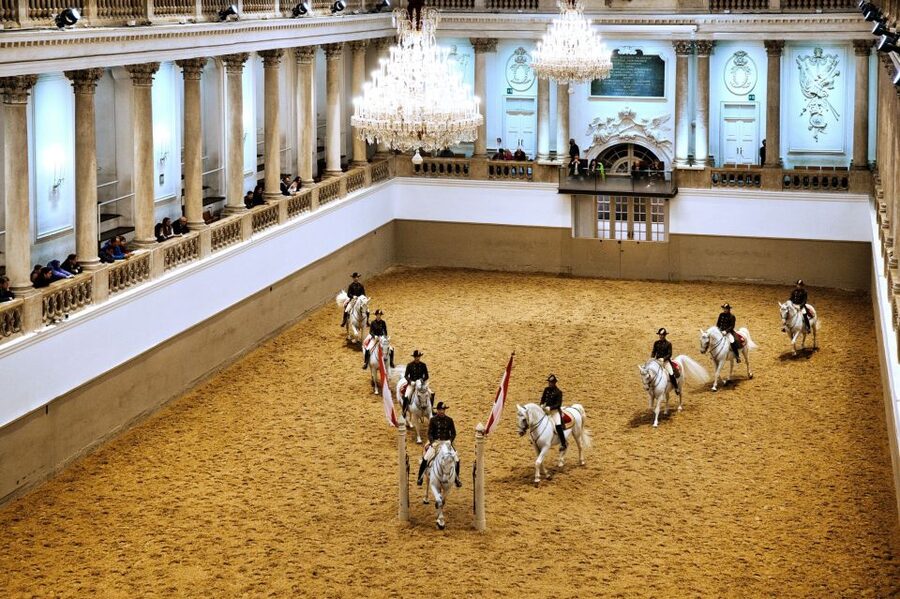 Vienna: Spanish Riding School 45-Minute Performance Show - What You See: Classical Equitation and the Airs Above Ground