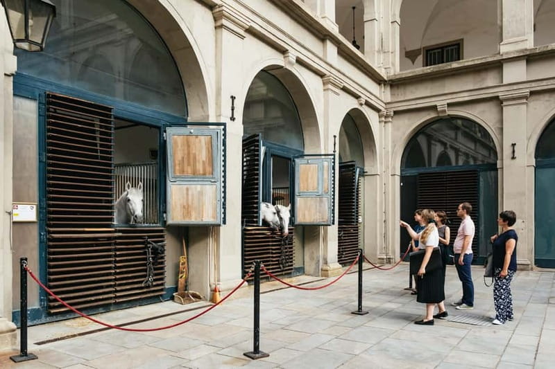Vienna: Spanish Riding School Guided Architectural Tour - 80 minutes, small group, and what that pacing changes