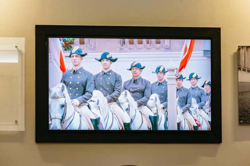 Vienna: Spanish Riding School Guided Architectural Tour - What the guide experience gets right, based on the strongest feedback