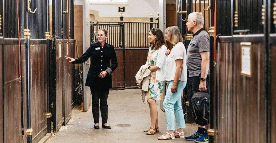 Vienna Spanish Riding School Guided Tour - Key Things That Make This 55-Minute Tour Worth It