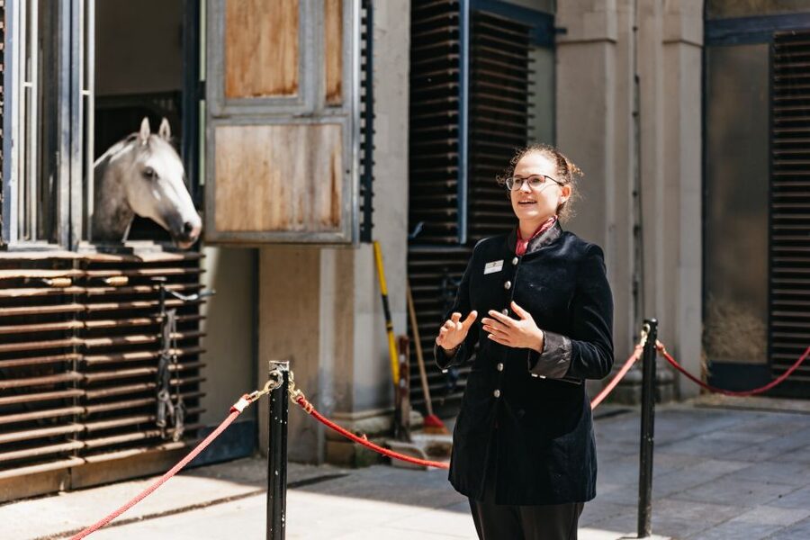 Vienna Spanish Riding School Guided Tour - Should You Book This Spanish Riding School Tour?