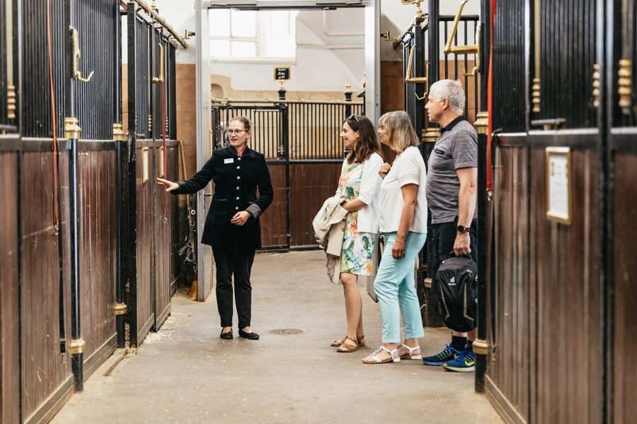 Vienna Spanish Riding School Guided Tour - Winter Riding School: The Baroque Training Room You Can Actually Read