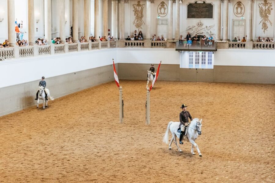 Vienna: Spanish Riding School Training - Key Highlights Worth Prioritizing