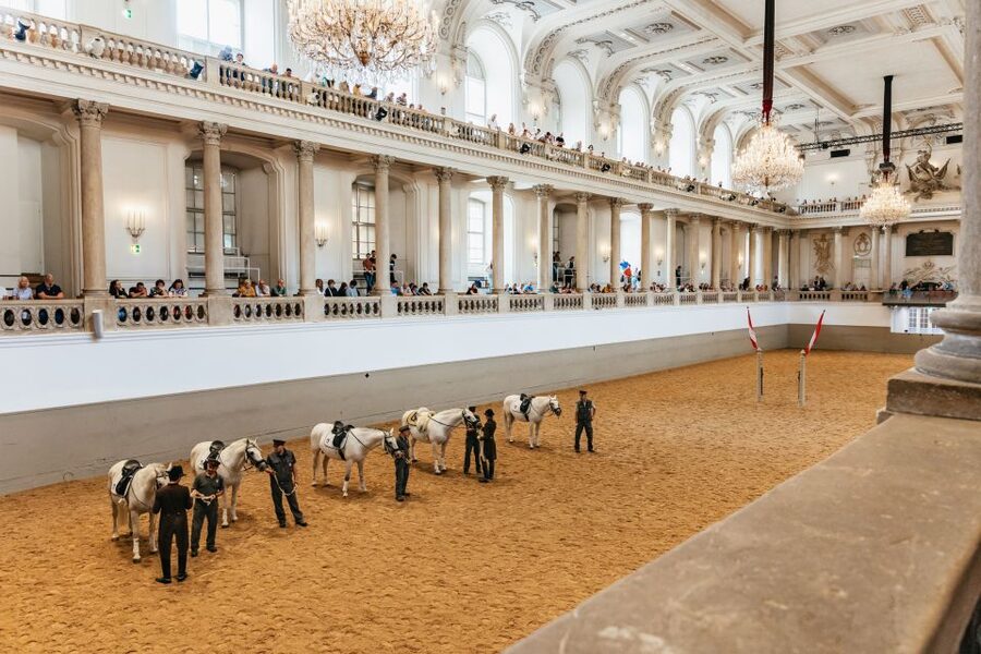 Vienna: Spanish Riding School Training - Entering a Baroque Arena Where Training Is the Main Event